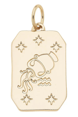 Zodiac Charms