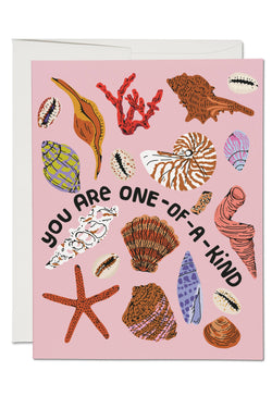 Special Seashell Greeting Card