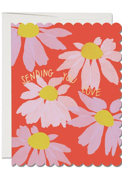 Scalloped Coneflower Sympathy Card