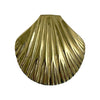 Shell Trinket Box