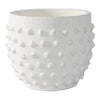 Ceramic Raised Dot Planter