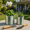 Striped Planters