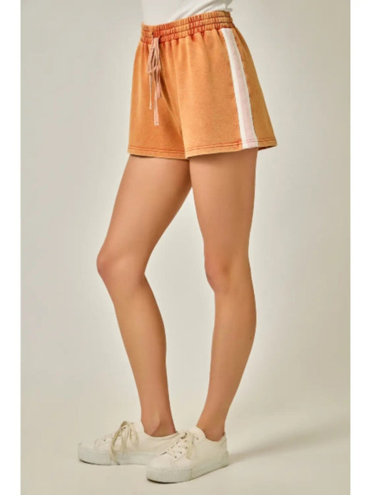 Color Blocked Shorts