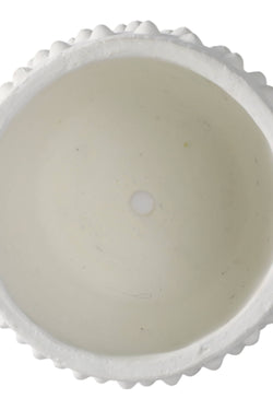 Ceramic Raised Dot Planter