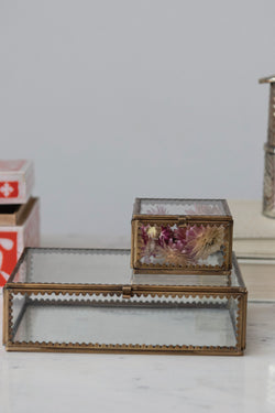 Brass & Glass Display Box w/ Scalloped Edges