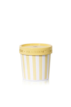 Volcano Artisan Caffe Capri Gelato Cup