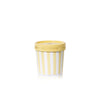 Volcano Artisan Caffe Capri Gelato Cup