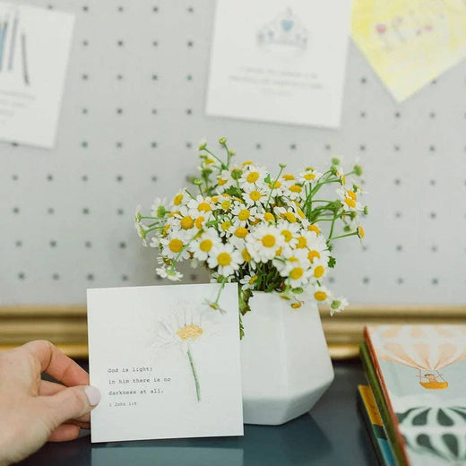 Truth for Today Cards for Kids by Emily Lex