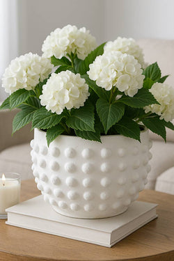 Ceramic Raised Dot Planter