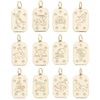 Zodiac Charms