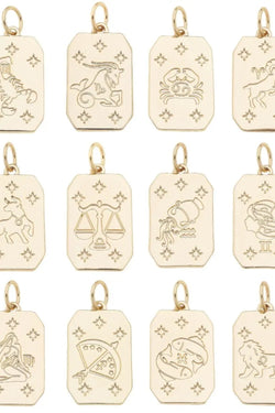 Zodiac Charms