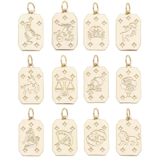 Zodiac Charms