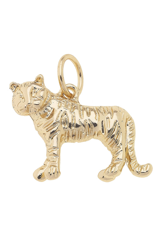 Tiger Body Charm