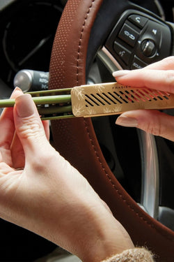 Frasier Fir Car Diffuser Kit