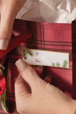 Frasier Fir Fragranced Gift Tags